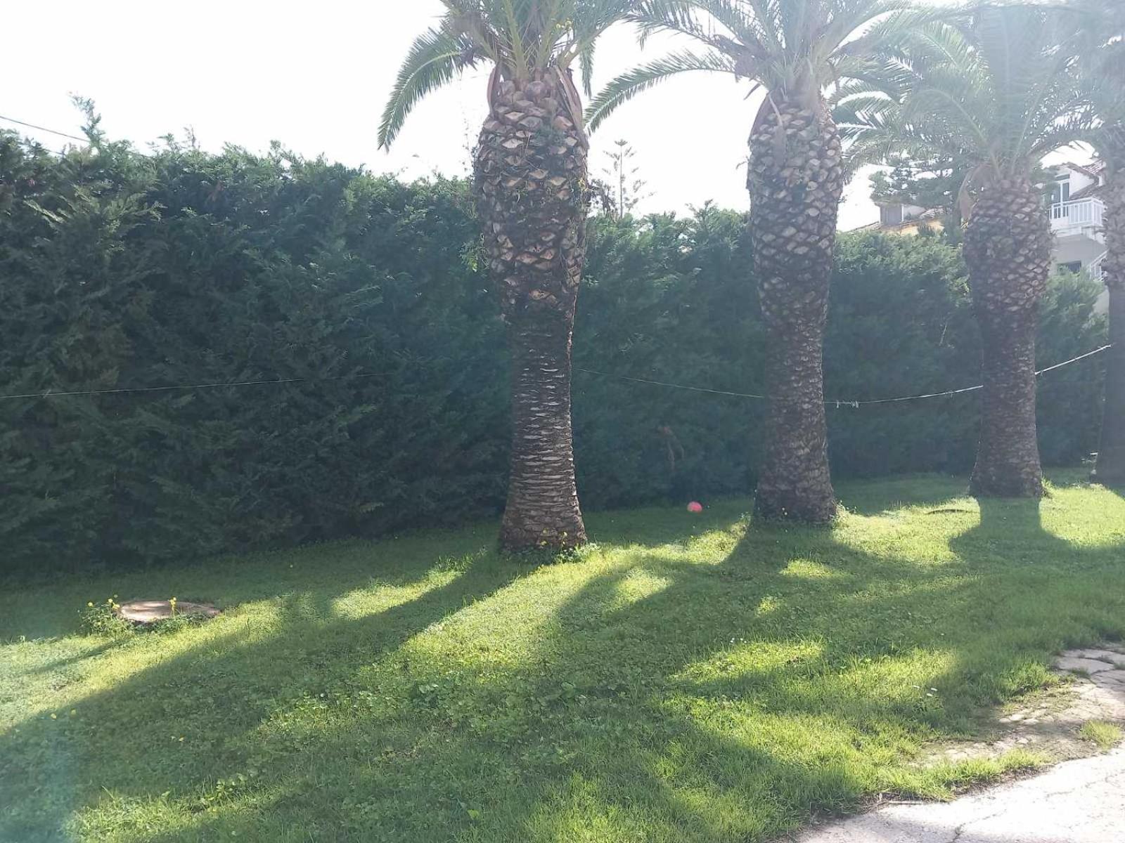 Vakantiehuis Pythari